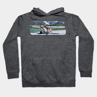 BUSH PLANE Hoodie